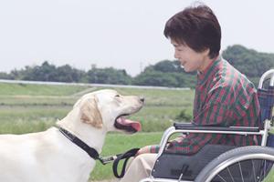 養生するなら赤坂ヒルズ整骨院で