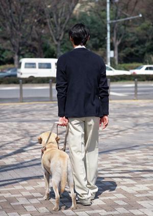心エコーのセミナーならこちらです