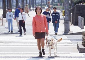 日吉駅周辺でインプラントの出来る歯科です